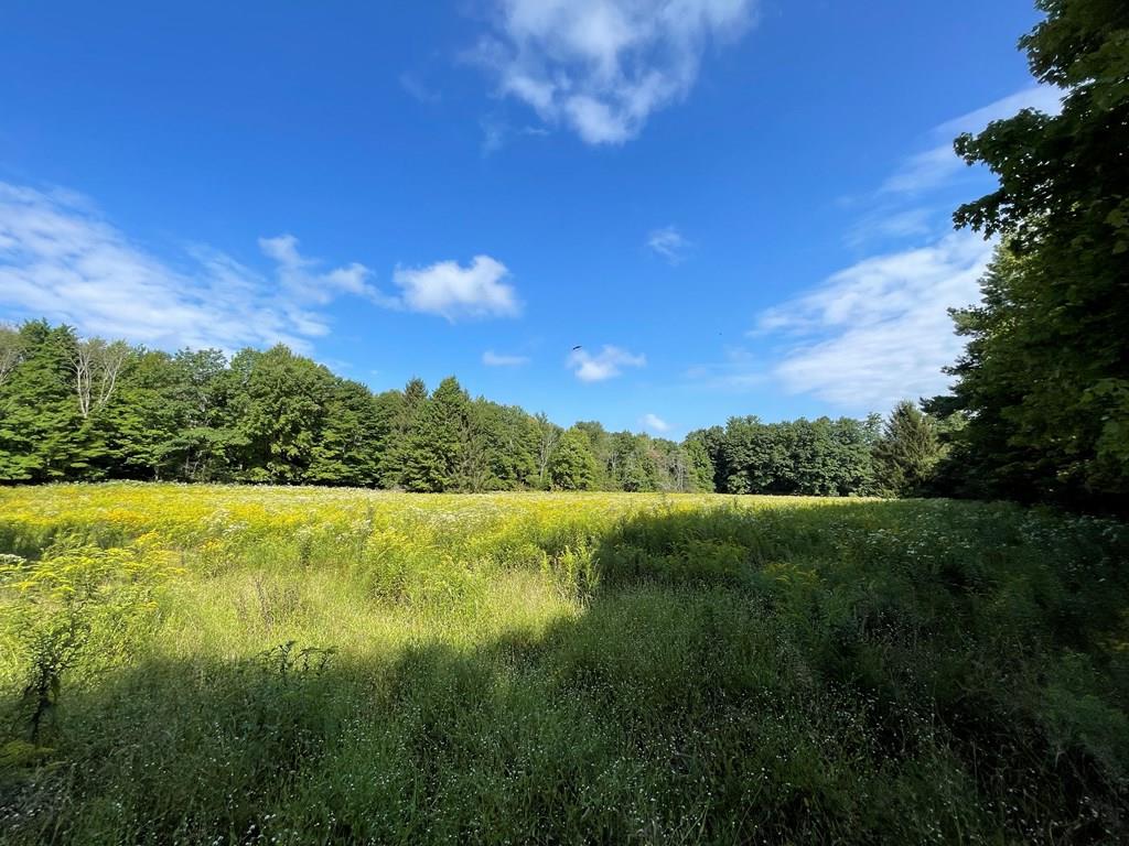0 Spring Creek Road Grand Valley, PA 16420 - Photo 3 of 5