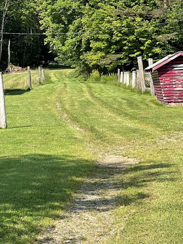 0 Spring Creek Road Grand Valley, PA 16420 - Photo 4 of 5