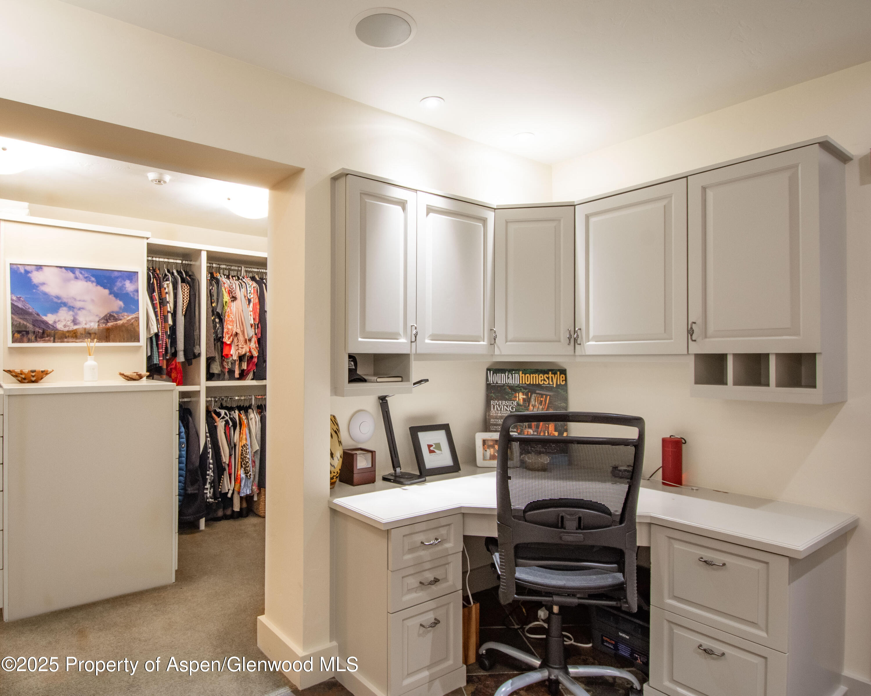 4076 Lower River Road Snowmass, CO 81654 - Photo 33 of 71 DSC_5667