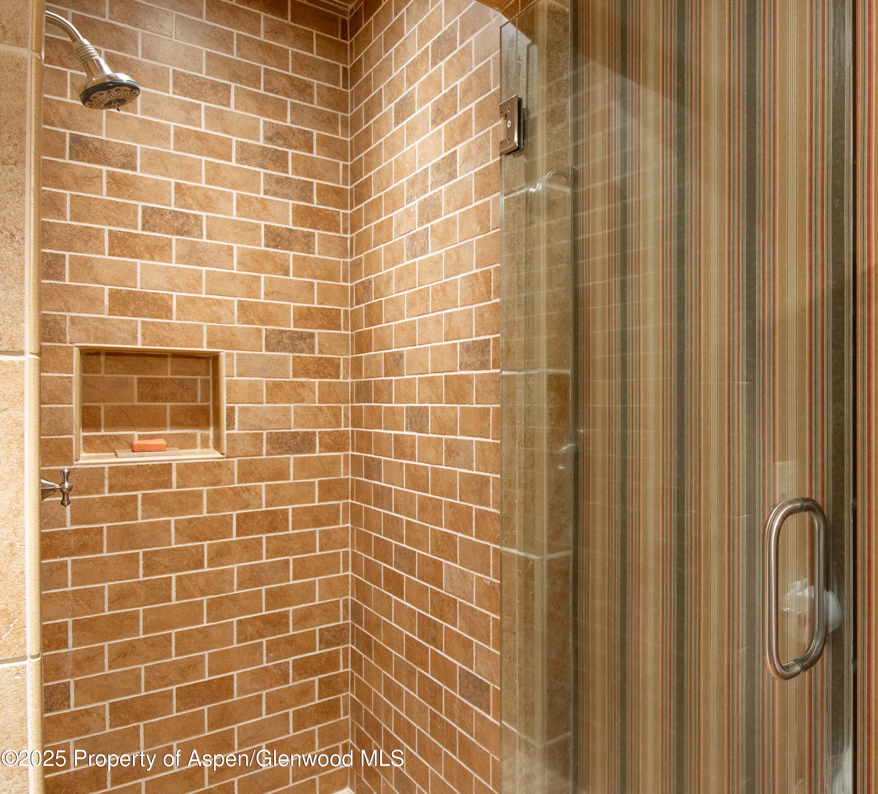 4076 Lower River Road Snowmass, CO 81654 - Photo 40 of 71 a bathroom with a shower