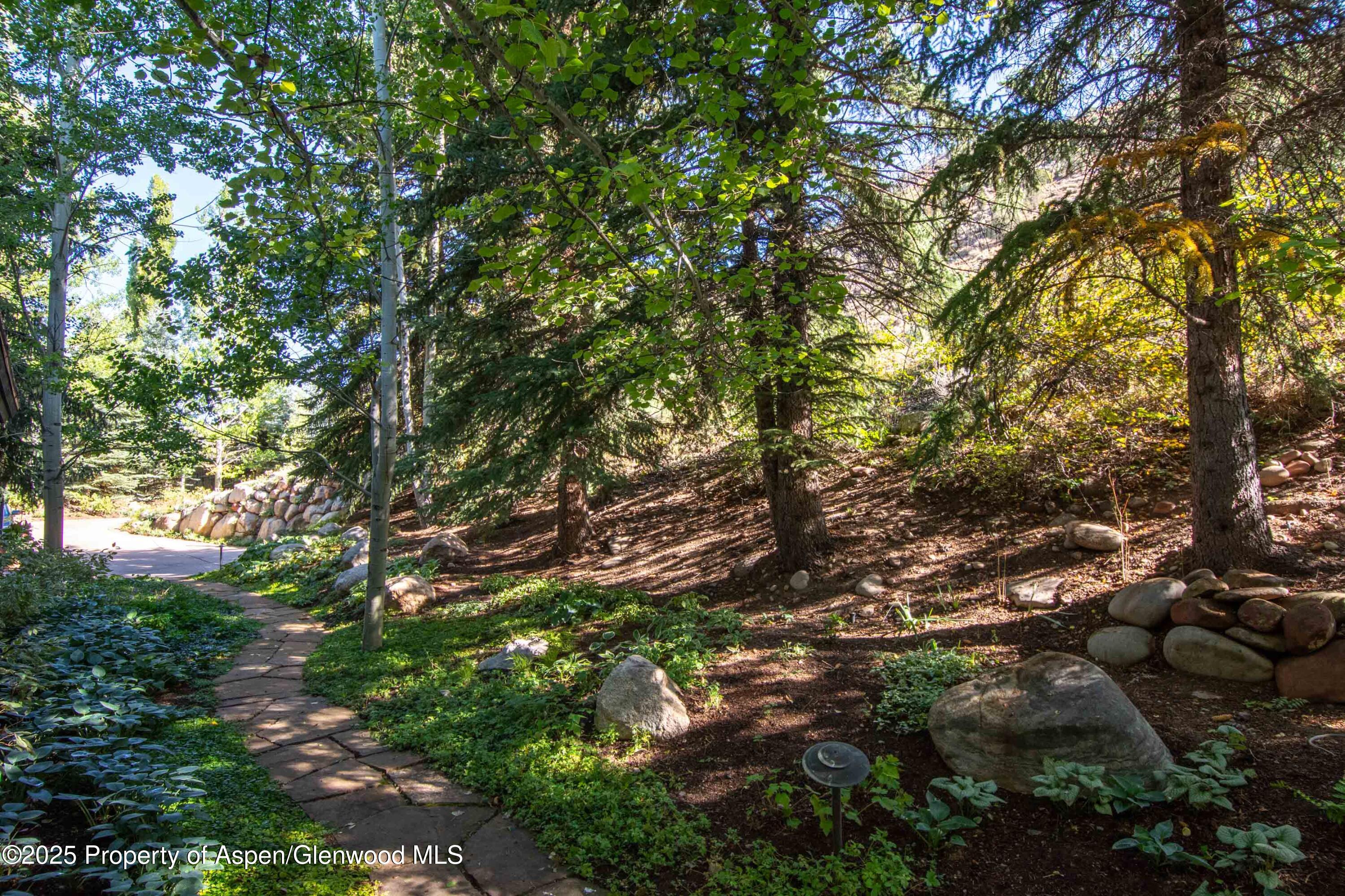 4076 Lower River Road Snowmass, CO 81654 - Photo 63 of 71 DSC_5596