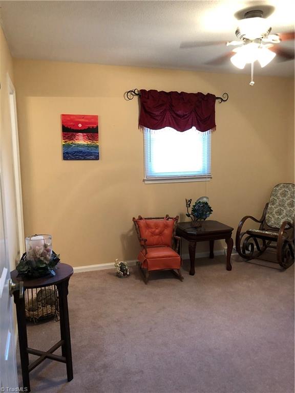 767 Bud Sink Road Lexington, NC 27295 - Photo 14 of 16 Gallery Image 14