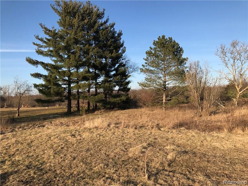 2220 Byron Road Howell, MI 48855 - Photo 5 of 7