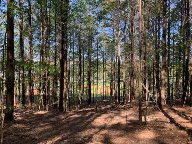 Lot 35 Crow Road Dalton, GA 30721 - Photo 2 of 4 IMG_8141