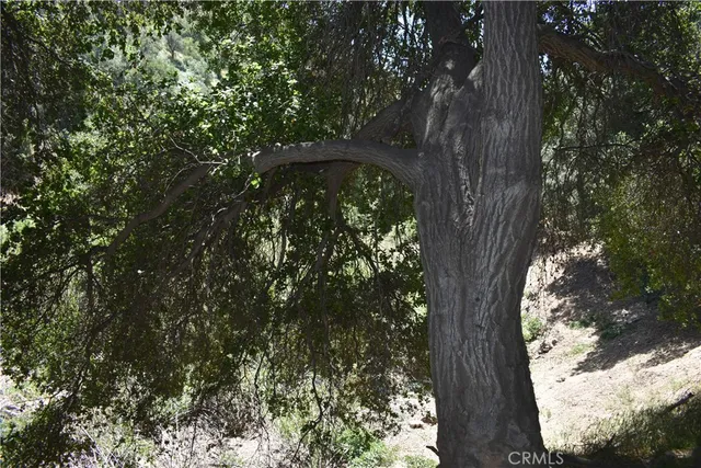 a view of outdoor space with trees