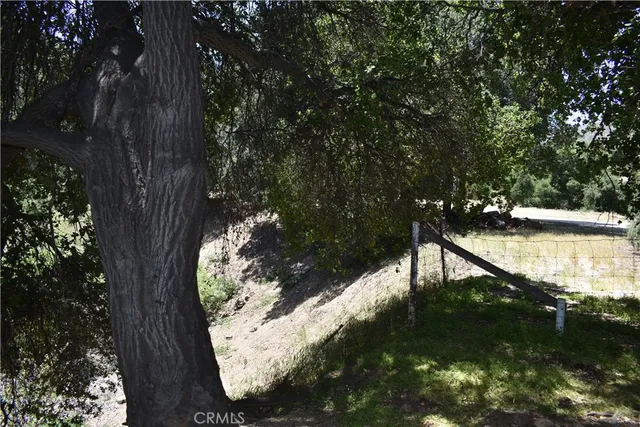a view of outdoor space with trees