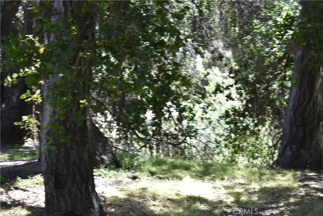a view of a yard with large trees