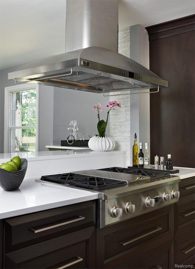 25555 Meridian Road Grosse Ile, MI 48138 - Photo 29 of 58 Professional cook top.