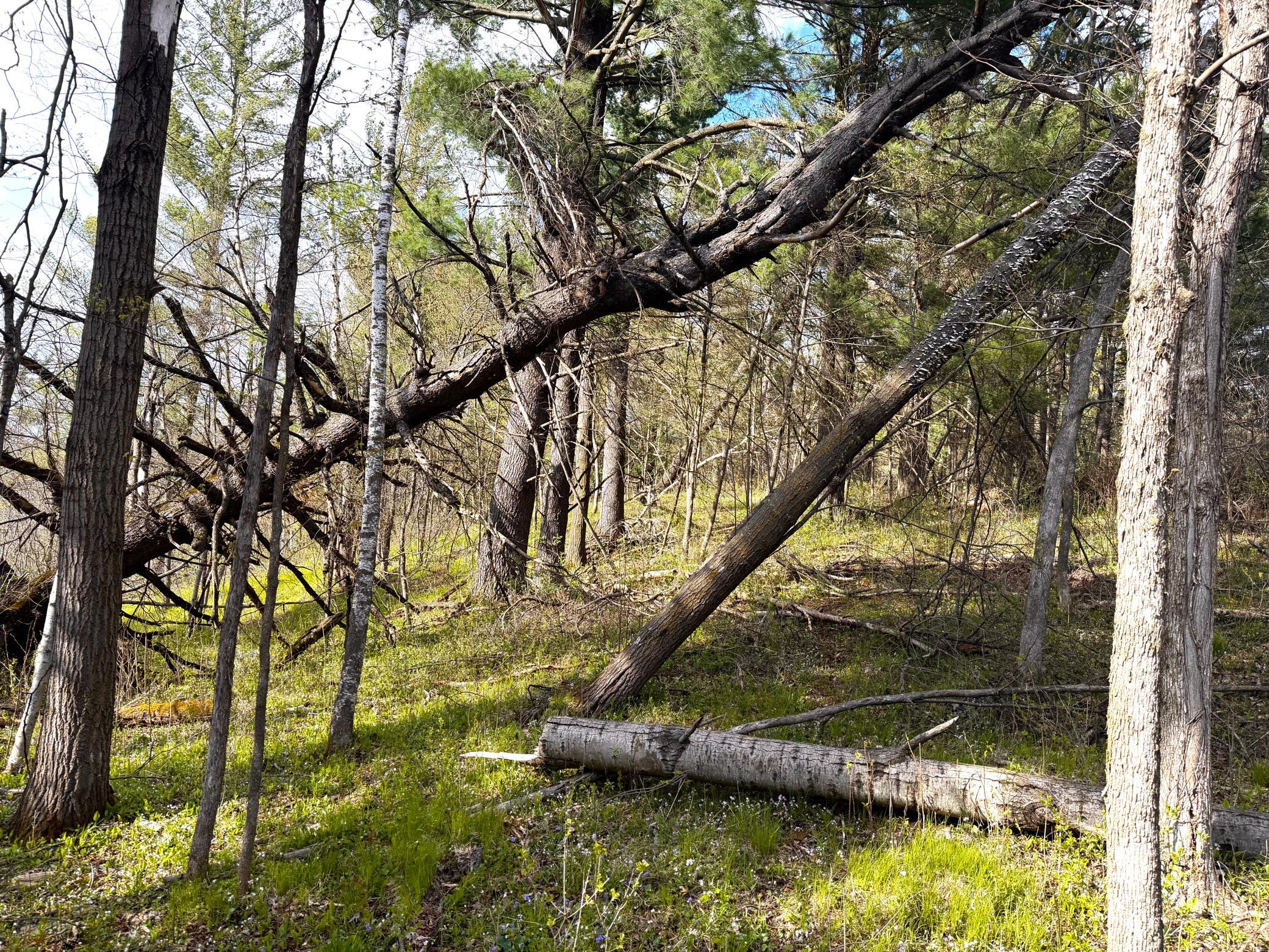 Tbd County Line Avenue Clear Lake, WI 54005 - Photo 2 of 12