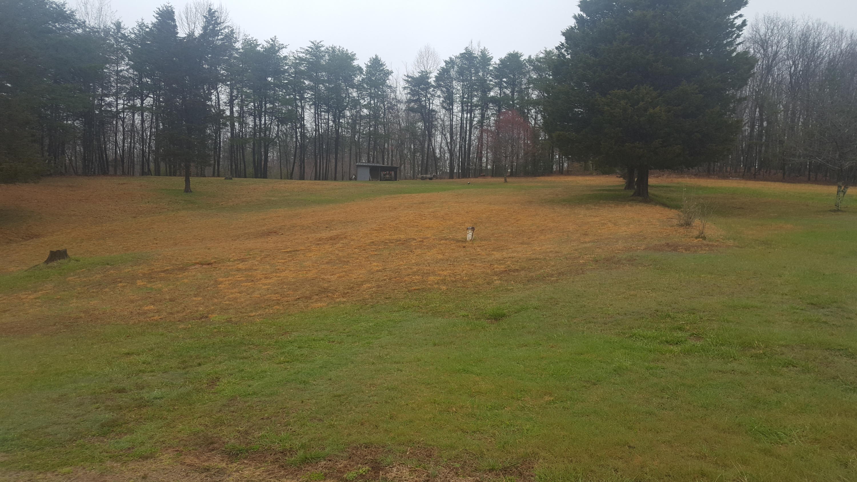 2667 Providence Church Road Ferrum, VA 24088 - Photo 33 of 57 Land View Two