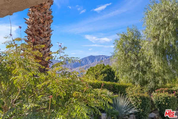 a view of a bunch of flowers and trees