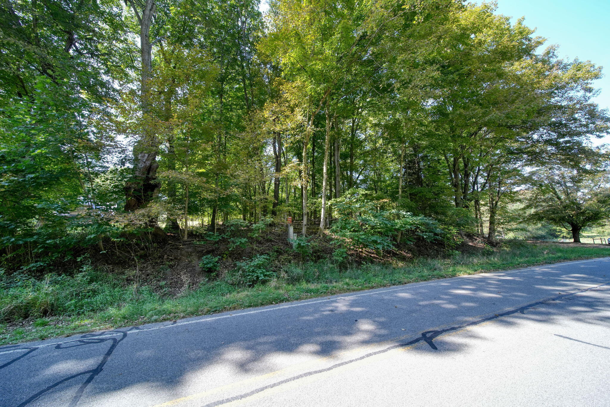 Vl Tompkins Road Rives Junction, MI 49277 - Photo 3 of 16 15-web-or-mls-DSC00099_HDR