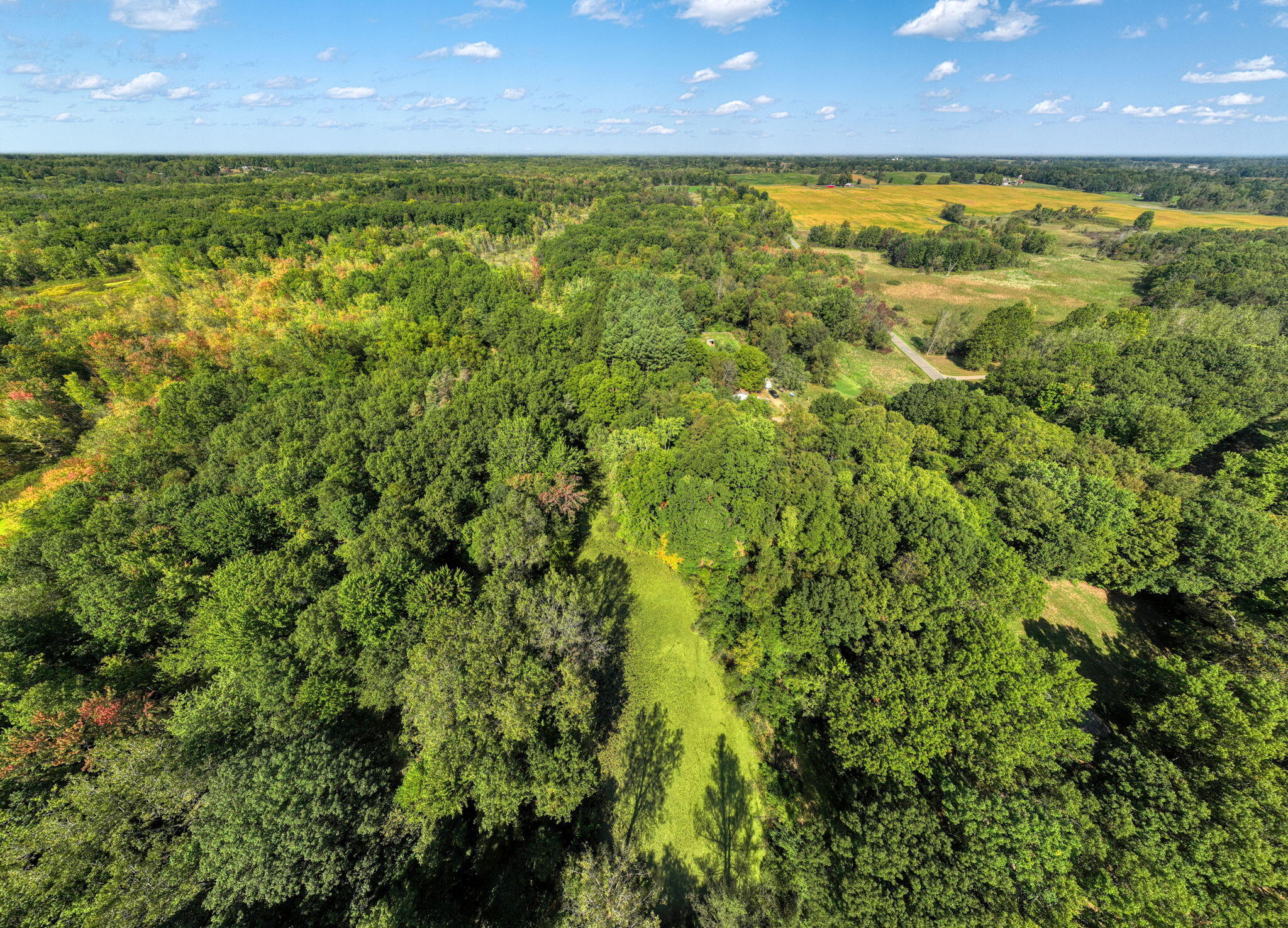 Vl Tompkins Road Rives Junction, MI 49277 - Photo 7 of 16 13-web-or-mls-DJI_0075_HDR