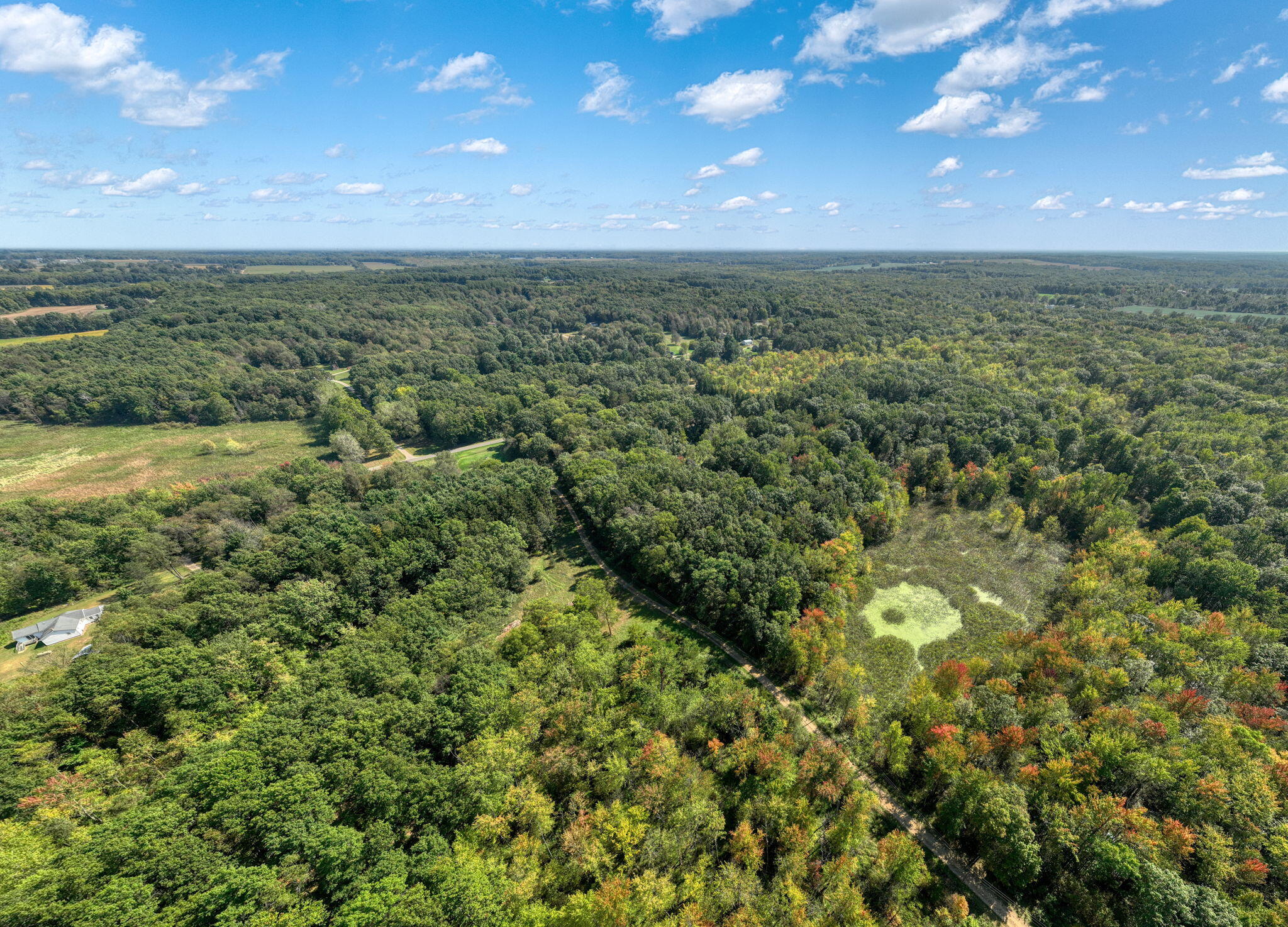 Vl Tompkins Road Rives Junction, MI 49277 - Photo 8 of 16 8-web-or-mls-DJI_0070_HDR
