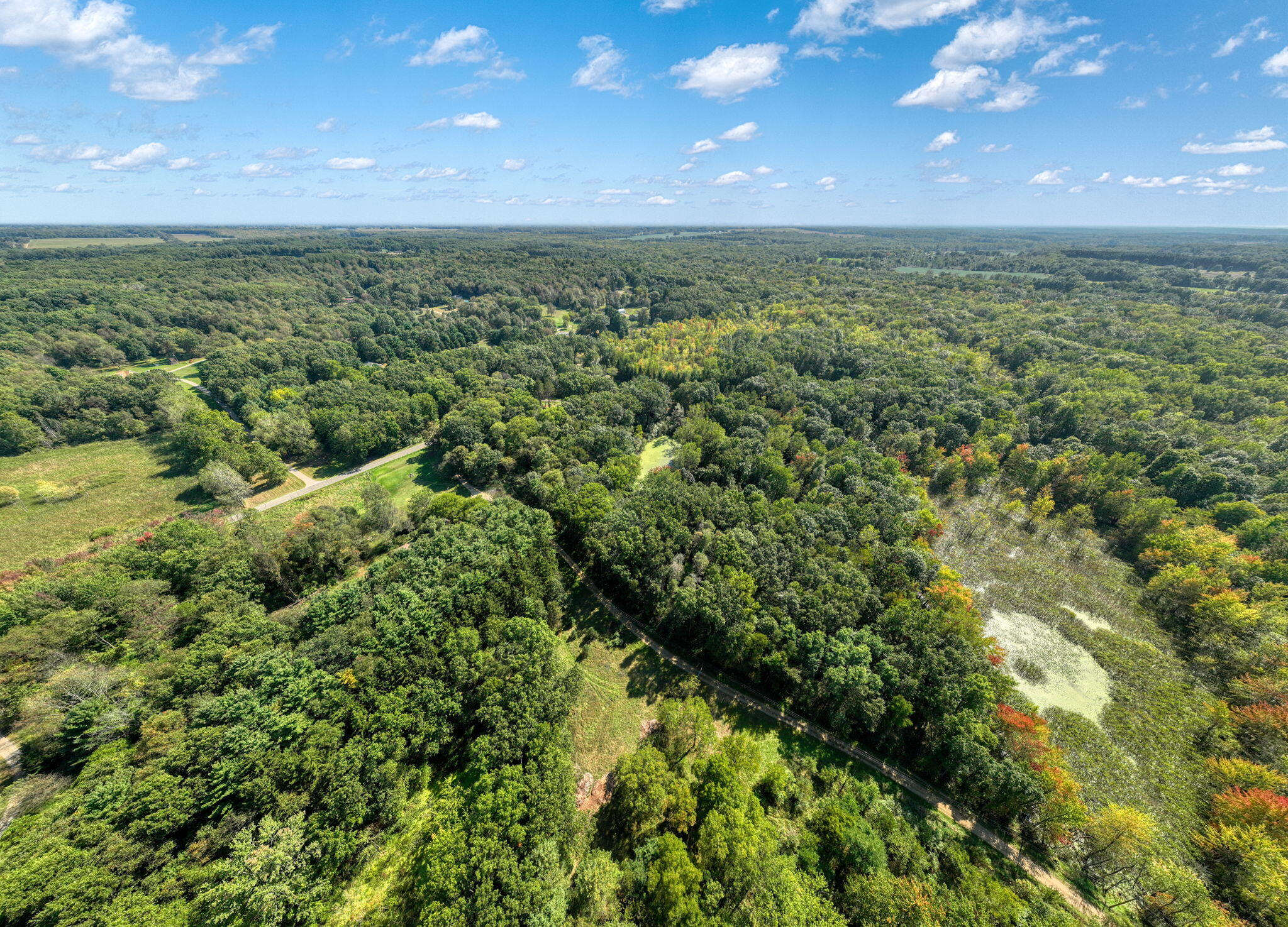 Vl Tompkins Road Rives Junction, MI 49277 - Photo 10 of 16 10-web-or-mls-DJI_0073_HDR