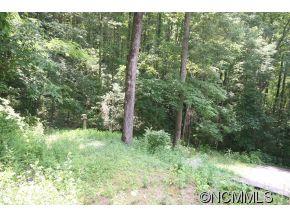 246 West Wonder Road Leicester, NC 28748 - Photo 21 of 23 Gallery Image 21