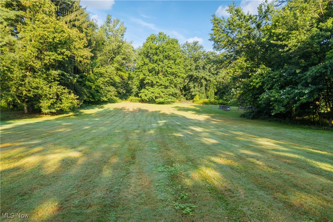 3550 Manchester Road Akron, OH 44319 - Photo 35 of 40 View of yard