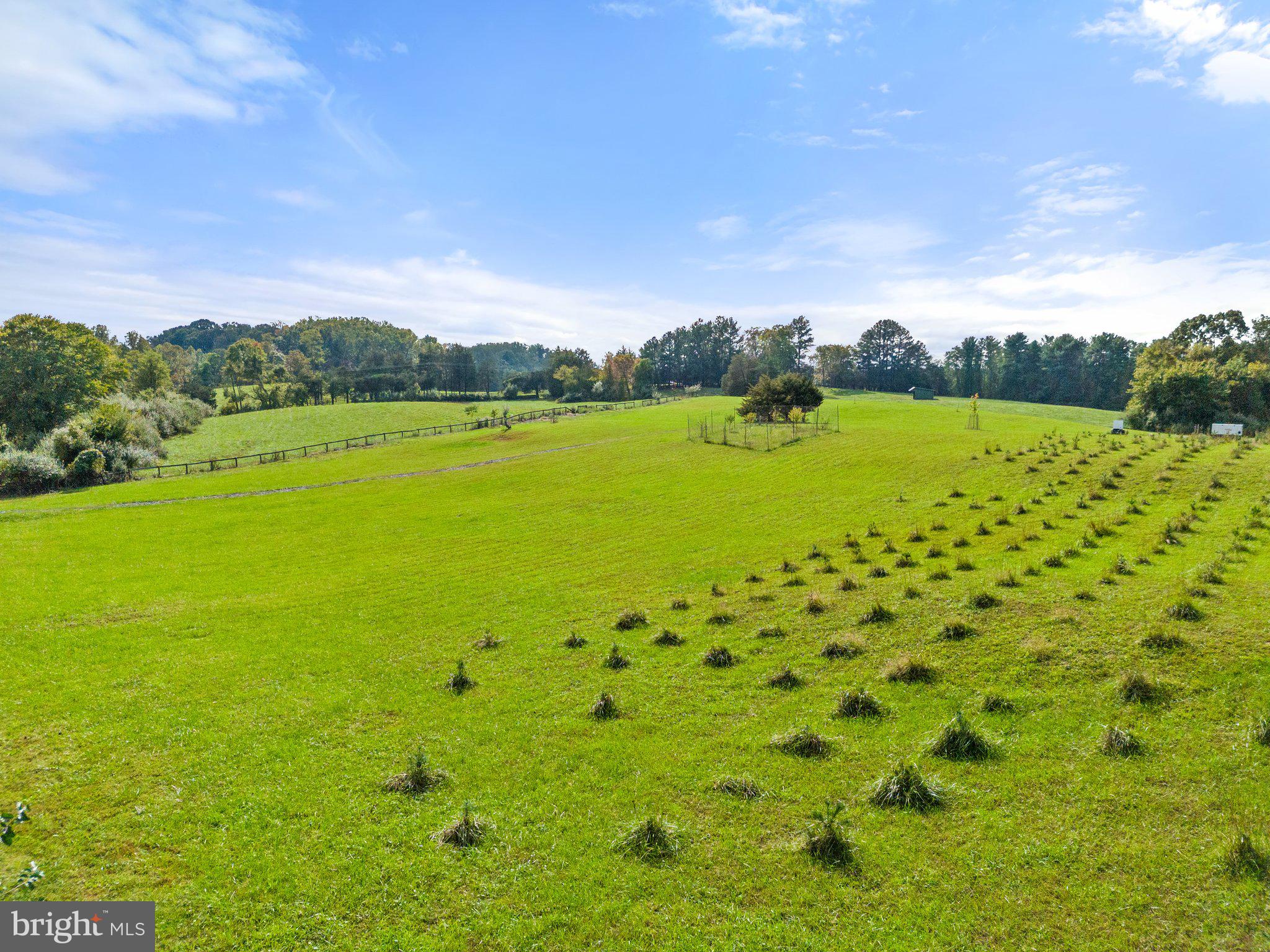 Wilson Road Marshall, VA 20115 - Photo 9 of 10 a view of yard with ocean view