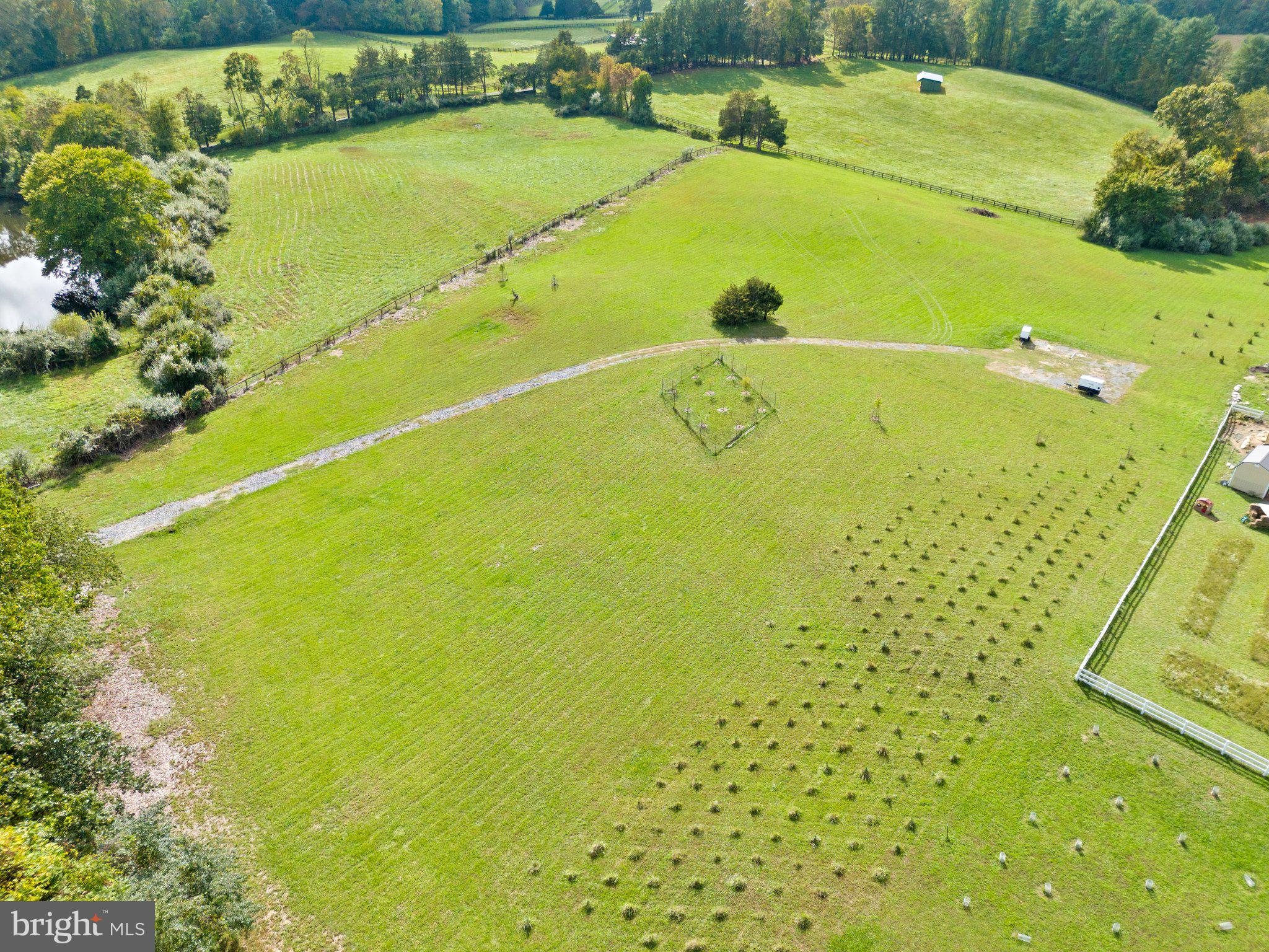 Wilson Road Marshall, VA 20115 - Photo 10 of 10 a view of a swimming pool