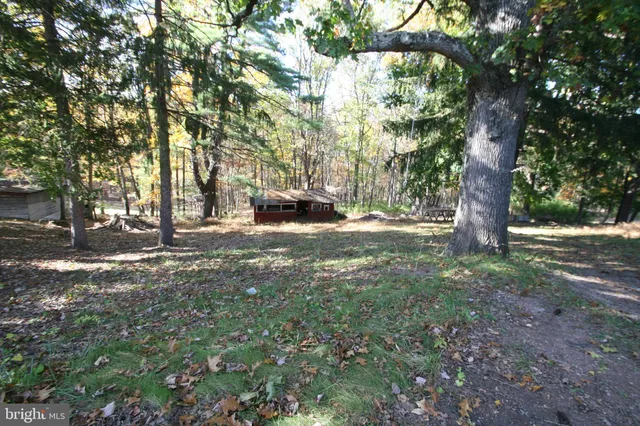 a view of outdoor space with trees