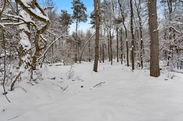 $37,500 | 0 Cr-388, Gobles, MI 49055