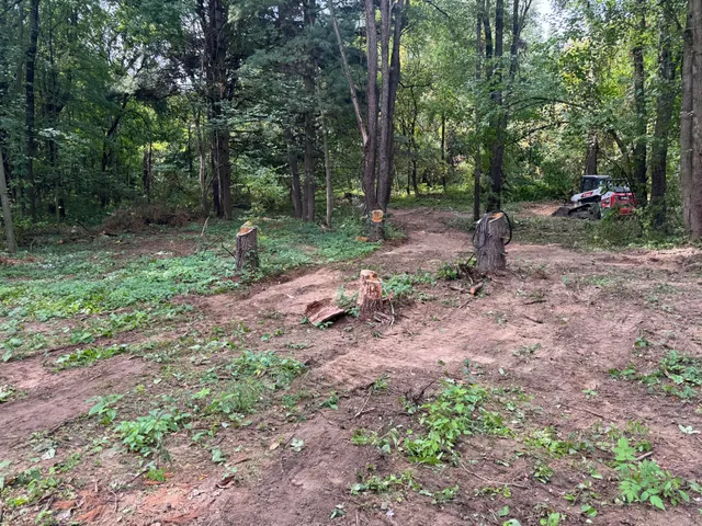 $37,500 | 0 Cr-388, Gobles, MI 49055