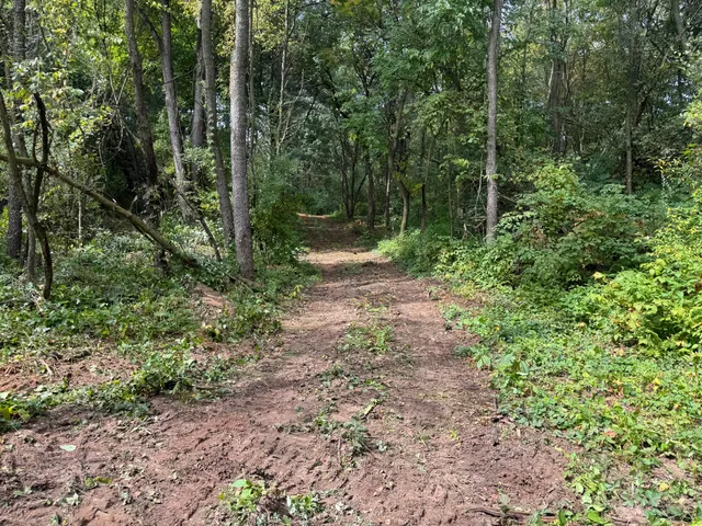 $37,500 | 0 Cr-388, Gobles, MI 49055