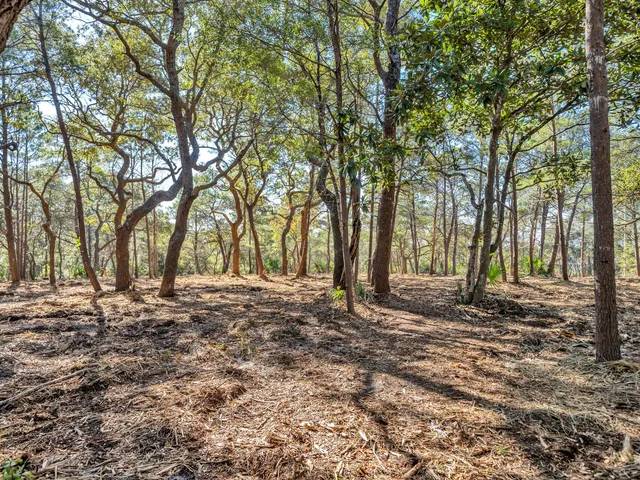 $2,950,000 | 0 Lakeview Drive, Panama City Beach, FL 32413