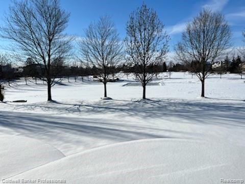 17173 Orchard Ridge Road Northville, MI 48168 - Photo 5 of 5 IMG_9969.jpg