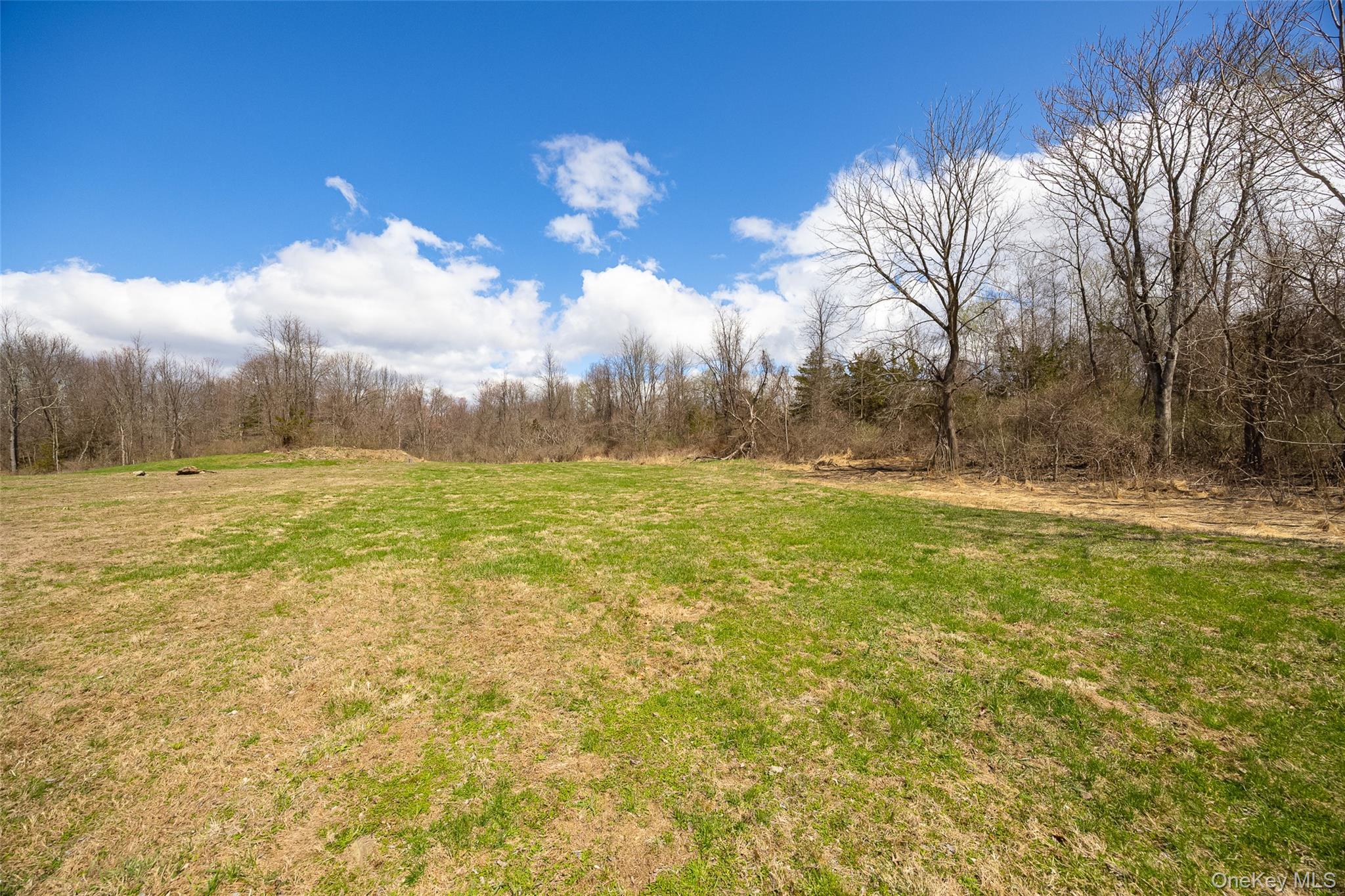 171 Feller Newmark Road Red Hook, NY 12571 - Photo 32 of 35