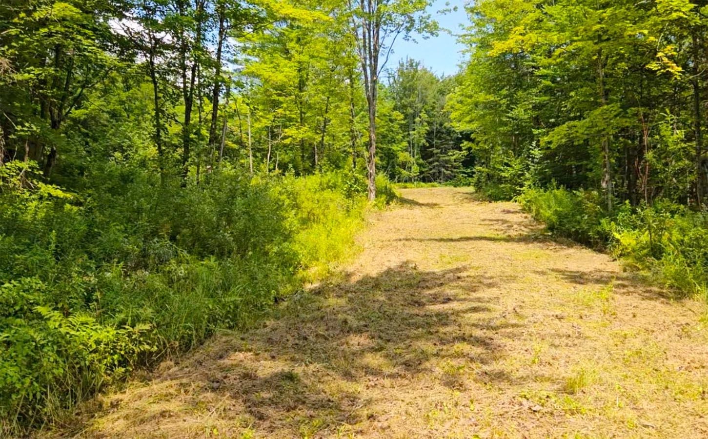 337 Lakeview Lane Elmore, VT 05680 - Photo 4 of 16