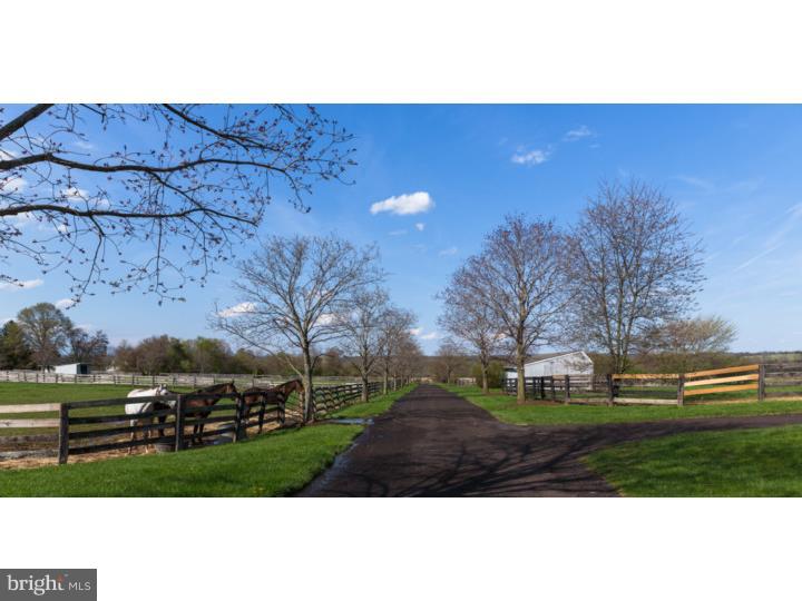 185 Headquarters Road Erwinna, PA 18920 - Photo 17 of 22