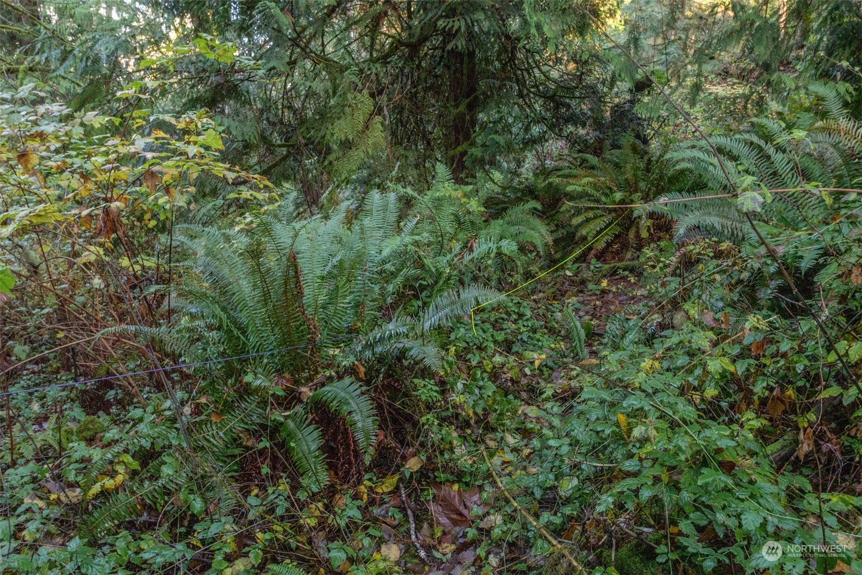 12173 Southwest Cedarhurst Road Vashon, WA 98070 - Photo 8 of 13 Gallery Image 8