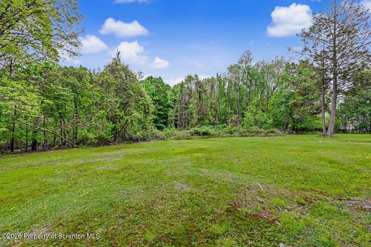 1000 Layton Road Clarks Summit, PA 18411 - Photo 48 of 55 Yard