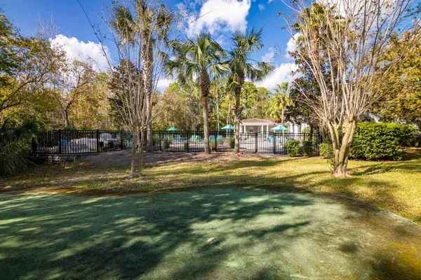 a garden view with tall trees