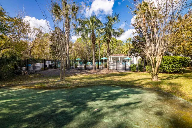 a garden view with tall trees