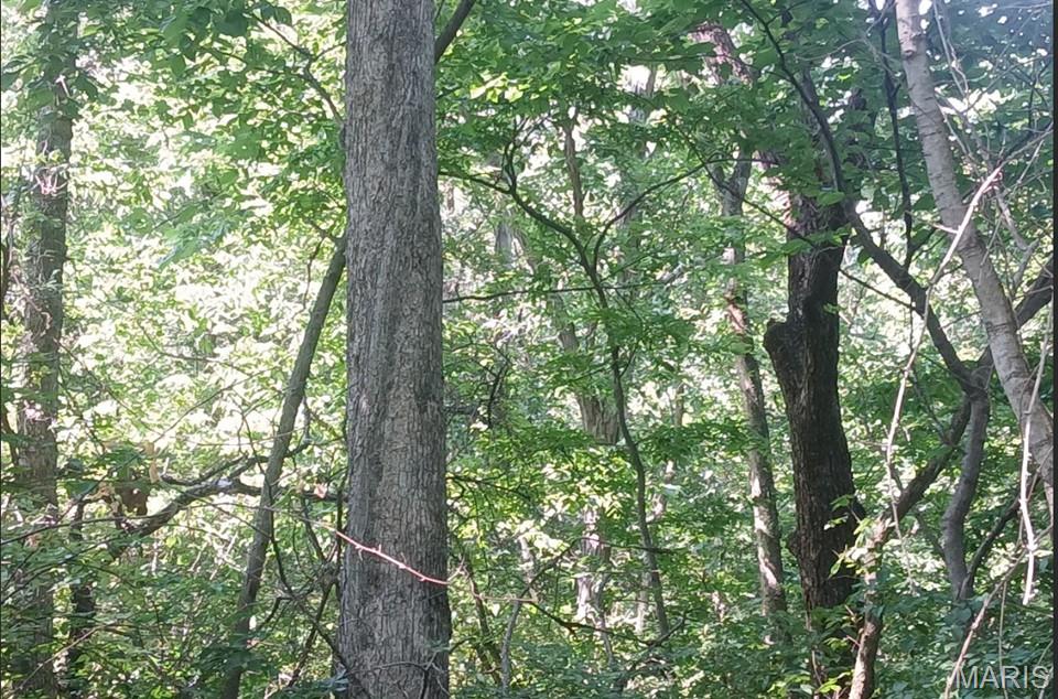 0 Silver Creek Road Alhambra, IL 62001 - Photo 17 of 23