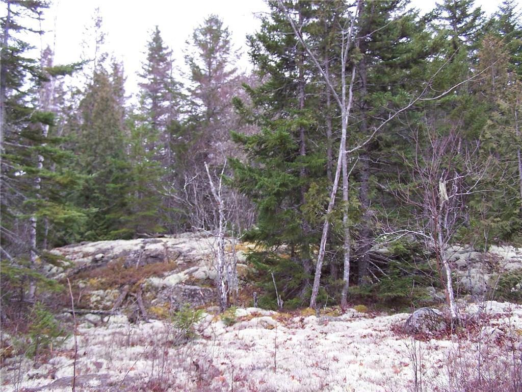 153 County Road Perry, ME 04667 - Photo 10 of 13 Photo
