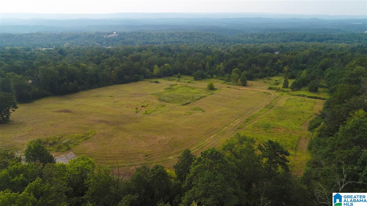 885 Hitching Post Lane, Unit 20 ACRES Birmingham, AL 35210 - Photo 4 of 16