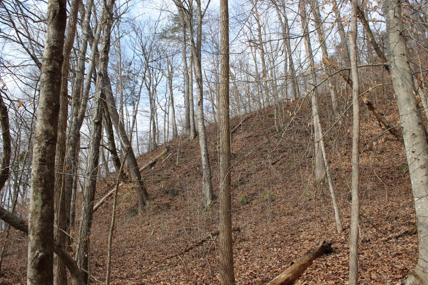 2010 Pryse Road Irvine, KY 40336 - Photo 12 of 56 Photo 12