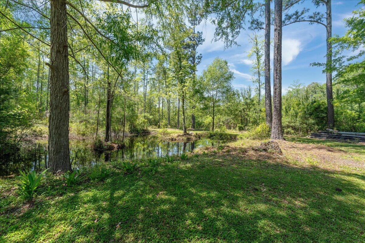 975 Groomstown Road Cross, SC 29436 - Photo 39 of 50 42-1-4