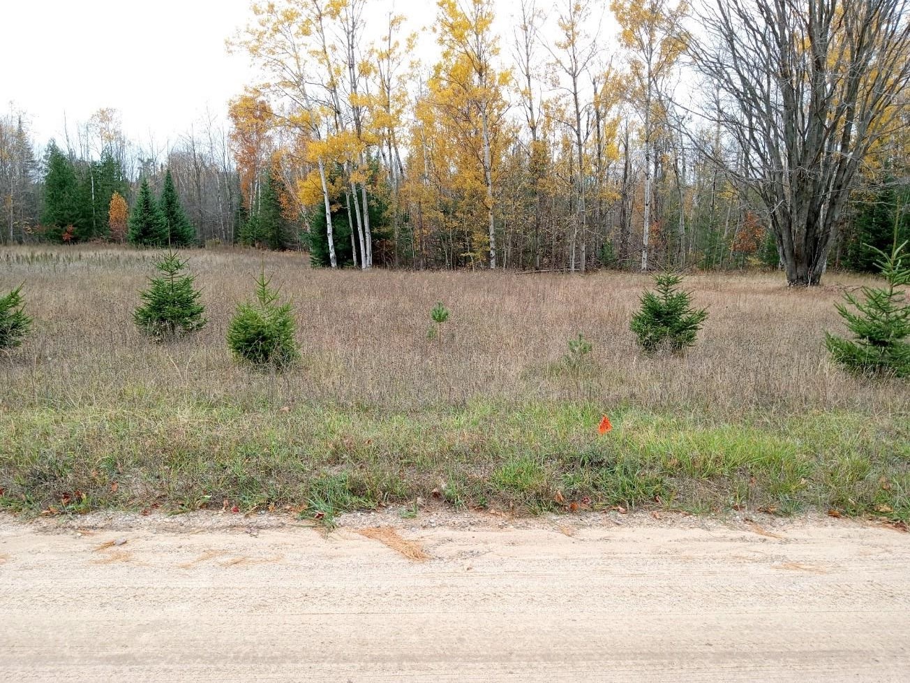 0 Bennett Road, Unit PARCEL B1 Williamsburg, MI 49690 - Photo 5 of 7