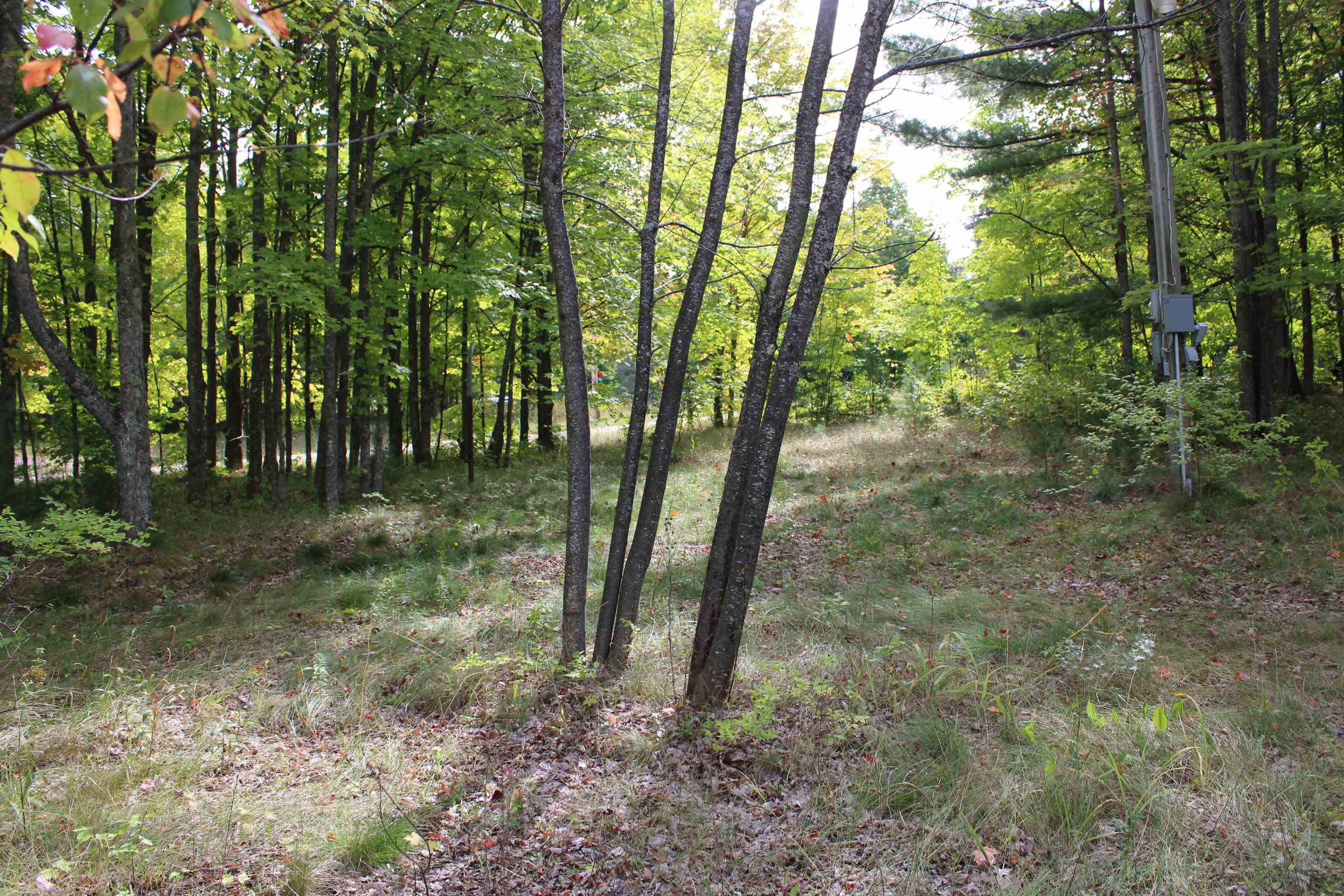 659 Dorman Road Northeast Kalkaska, MI 49646 - Photo 1 of 22 Gallery Image 1