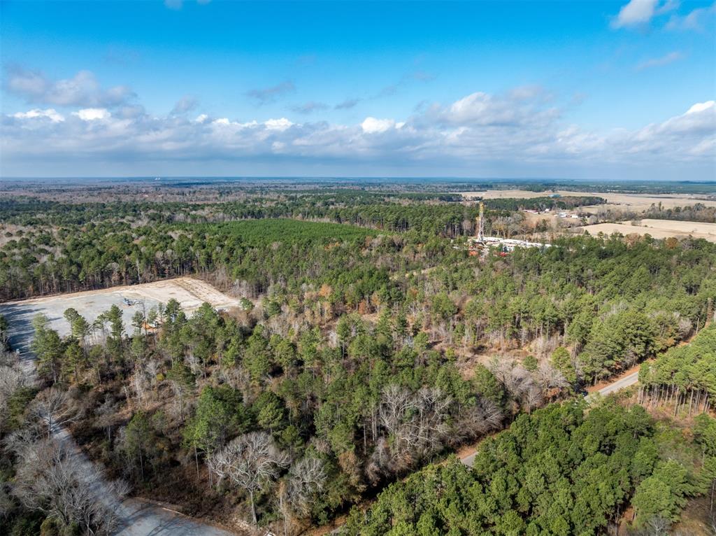 Tbd Tom Woodley Road Marshall, TX 75672 - Photo 7 of 11 a view of a city with lush green forest