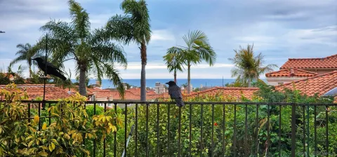 $2,195,000 | 7521 Navigator Circle, Carlsbad, CA 92011