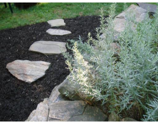 64 Searle Road Huntington, MA 01050 - Photo 4 of 13 a view of a outdoor space