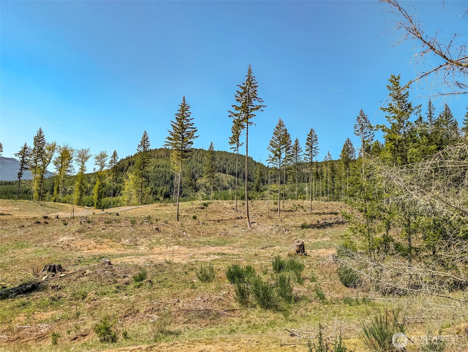 0 Craig Road, Unit LOT A2 Packwood, WA 98361 - Photo 11 of 15 a view of ocean