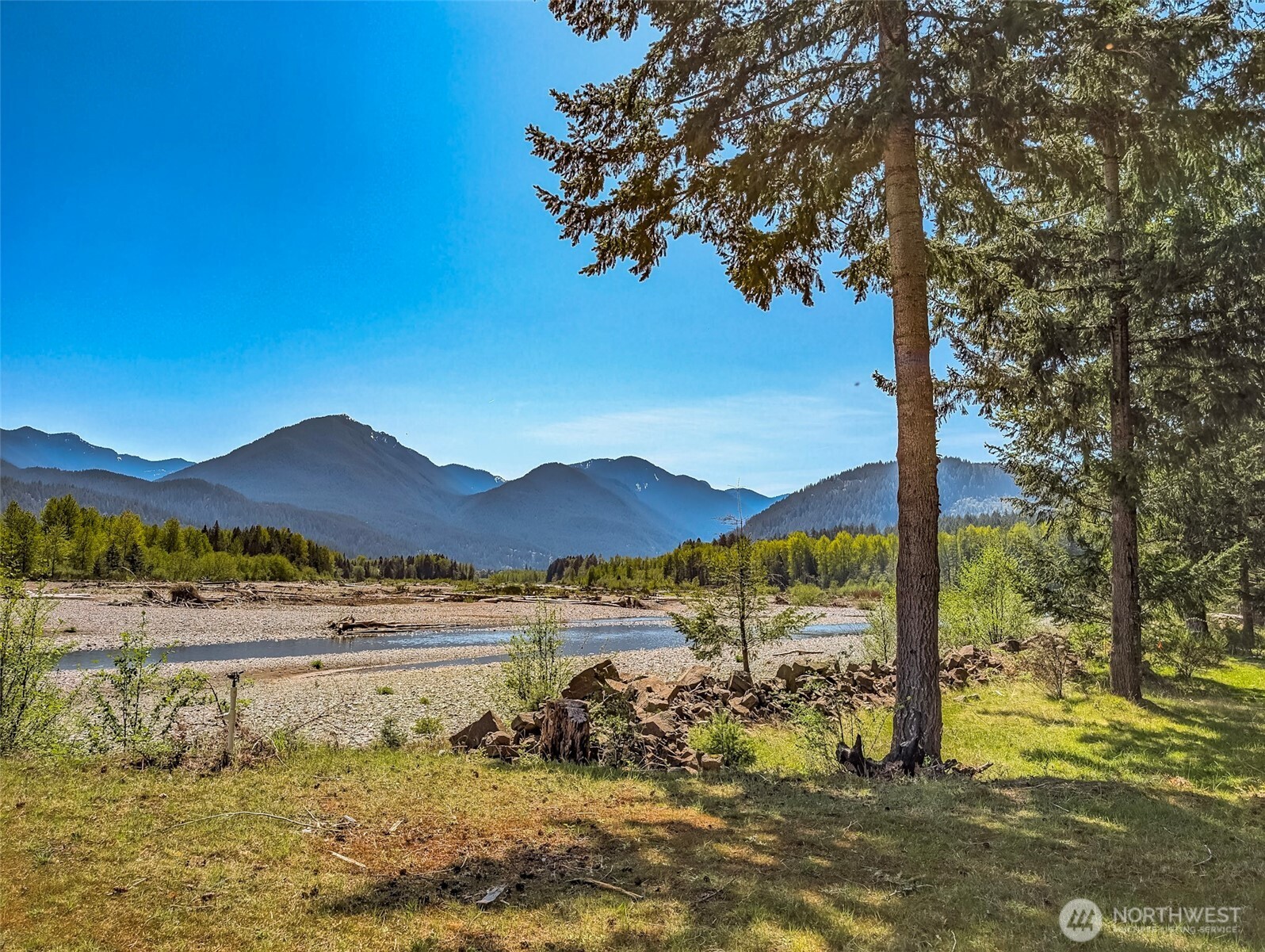 0 Craig Road, Unit LOT A2 Packwood, WA 98361 - Photo 13 of 15 a view of lake with mountain