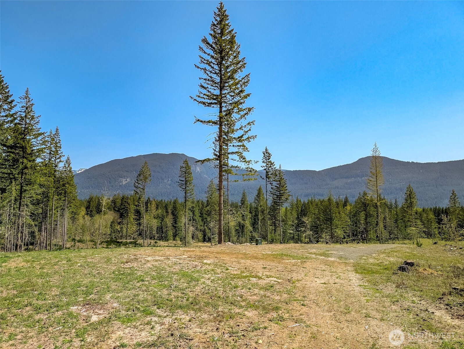0 Craig Road, Unit LOT A2 Packwood, WA 98361 - Photo 4 of 15 a view of a large building with a big yard