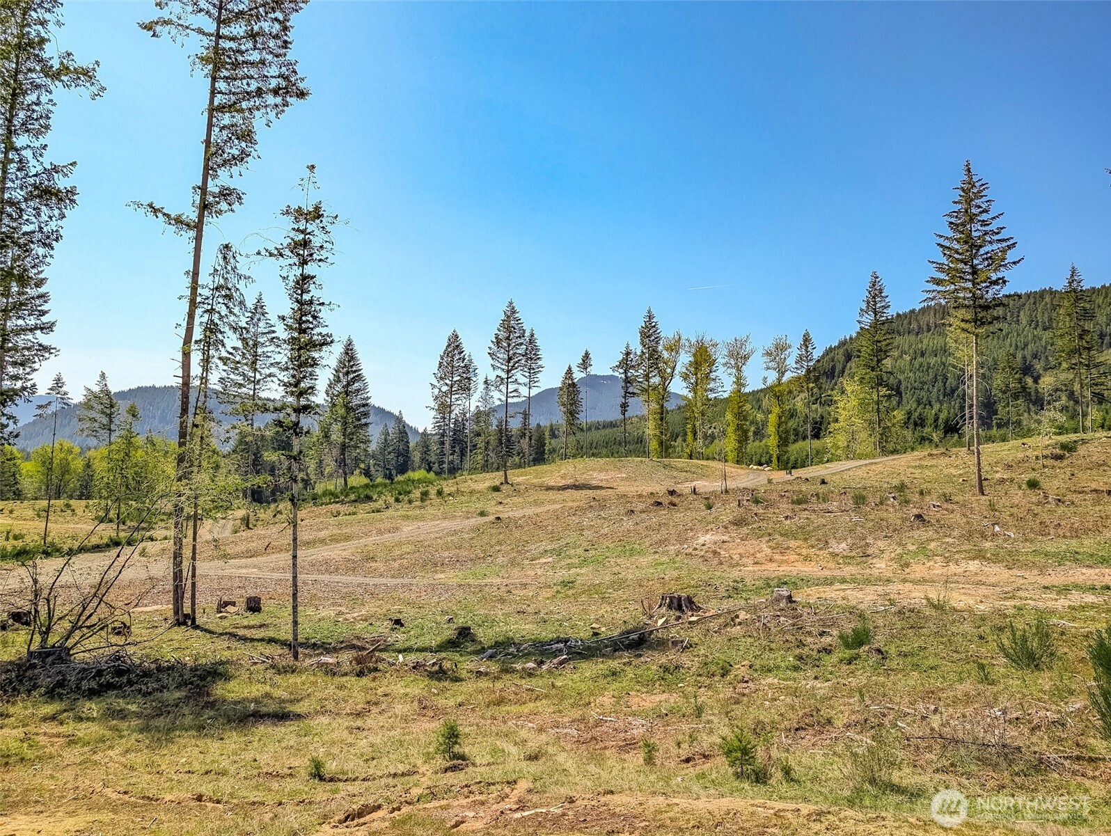 0 Craig Road, Unit LOT A2 Packwood, WA 98361 - Photo 10 of 15 a view of a yard